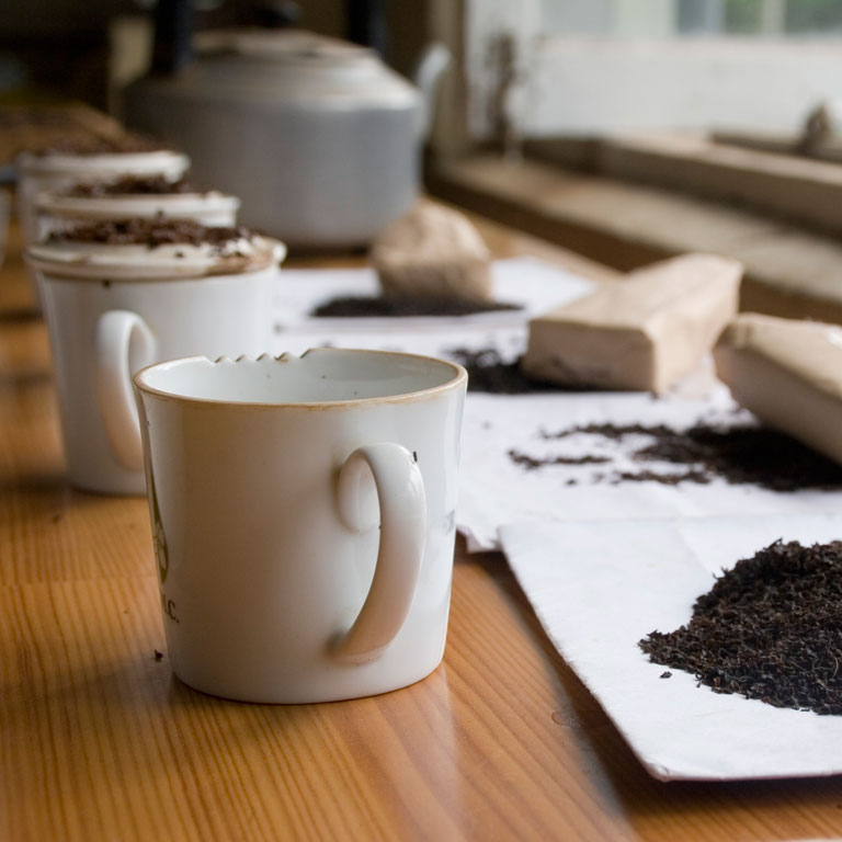 No krūma uz tasīti