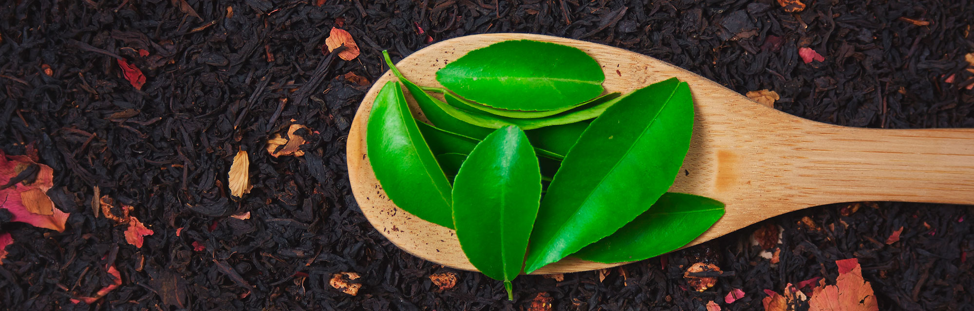 No kurienes rodas tēja