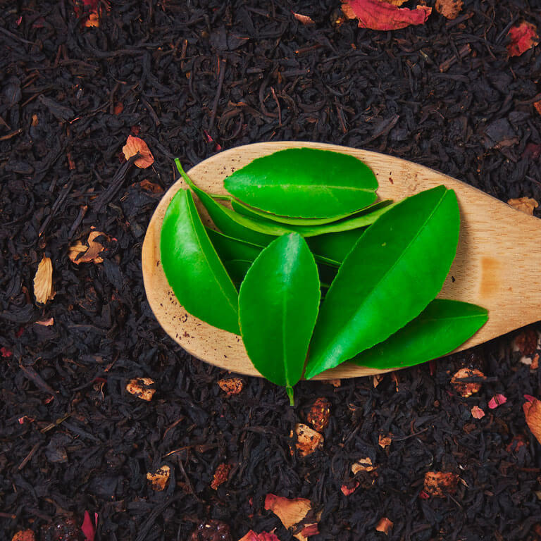 No kurienes rodas tēja